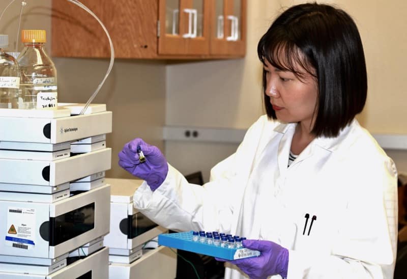 Xuelian Bai, Ph.D., Assistant Research Professor of Environmental Sciences, works with an algae sample in the Environmental Engineering Laboratory at the Desert Research Institute in Las Vegas. Credit: Sachiko Sueki.
