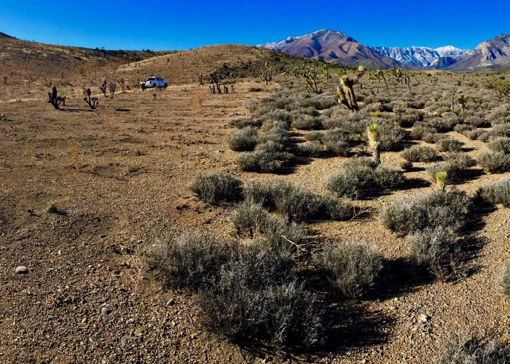Photo showing damaged soils 18 months after a wildfire.