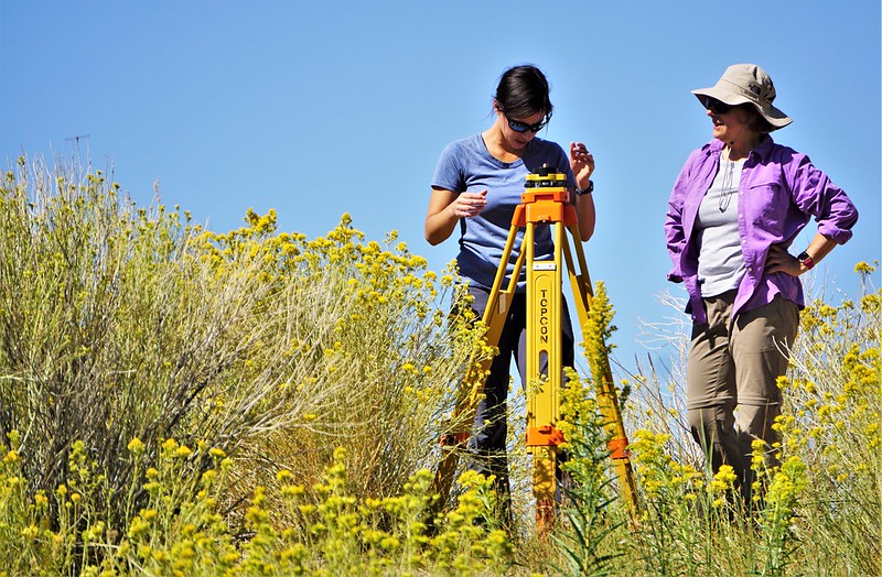 scientists survey field site