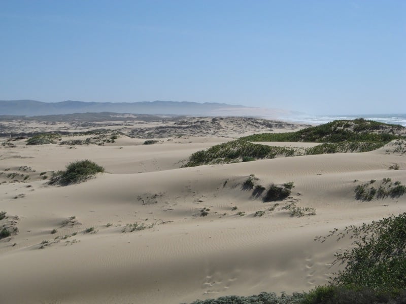 Dust Control at the Oceano Dunes