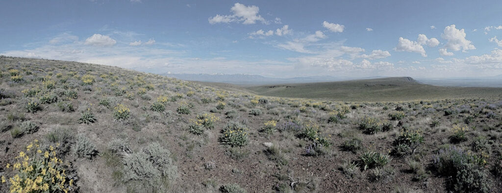 High desert landscape. Photo credit: www.climateengine.org