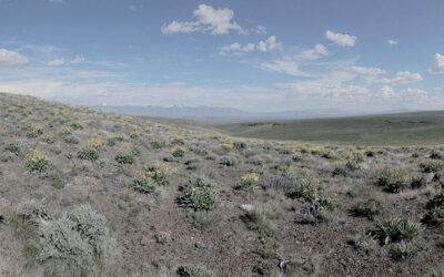 Climate Engine Launches New Website to Facilitate Drought and Vegetation Monitoring