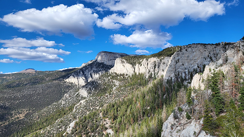 Landscape of rocky mountains with pine trees and blue sky and clouds.