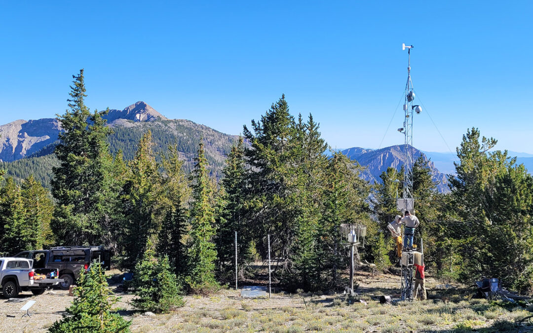 Long Science in the Nevada Bristlecone Preserve