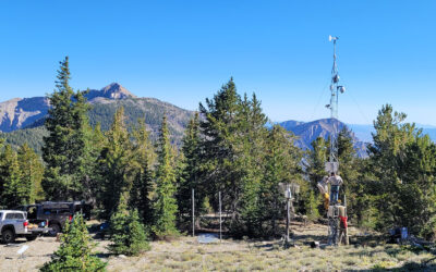 Long Science in the Nevada Bristlecone Preserve