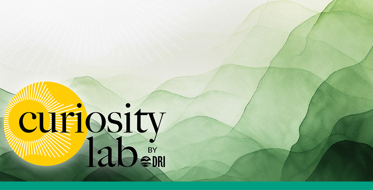 Curiosity Lab by DRI sunburst logo over an image of green watercolor mountains.