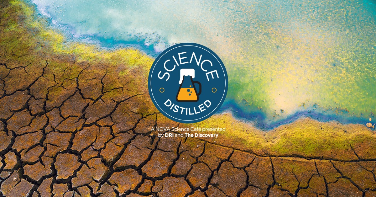 433861367_822052596628250_3027018106126421867_n Science Distilled Logo over a cracked desert background.