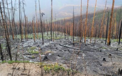 Looking for Answers in a Warming World 
