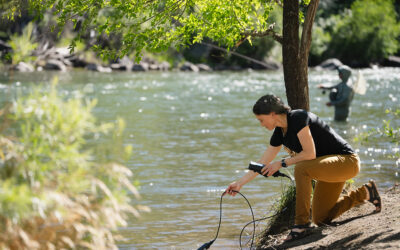 DRI Launches Collaborative New Project Investigating PFAS and Microplastics for Department of Defense
