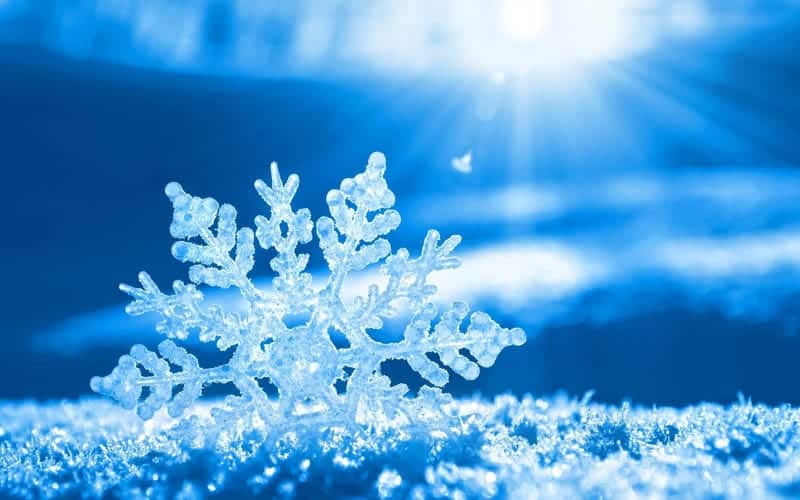 DRI Stories in the Snow Project collects over 400 images from local citizen scientists