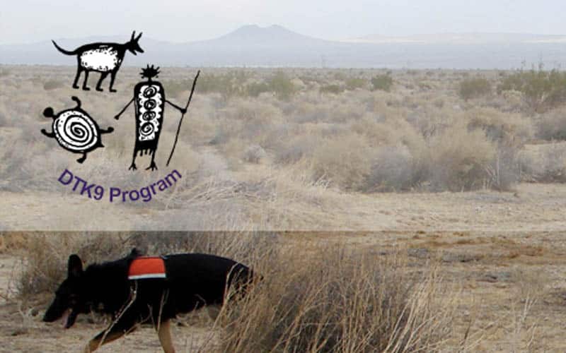 800x500_desert-tortoise-program Desert Tortoise K9 Program logo and photo