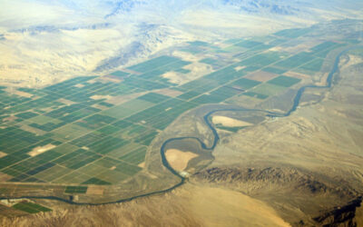 DRI scientists investigate effectiveness of heat warnings along US-Mexico border