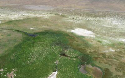 New Study Reveals Alarming Groundwater Declines Threatening Nevada’s Ecosystems