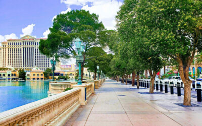 A New, Detailed Analysis of the Benefits and Trade-offs of Urban Street Trees in Las Vegas