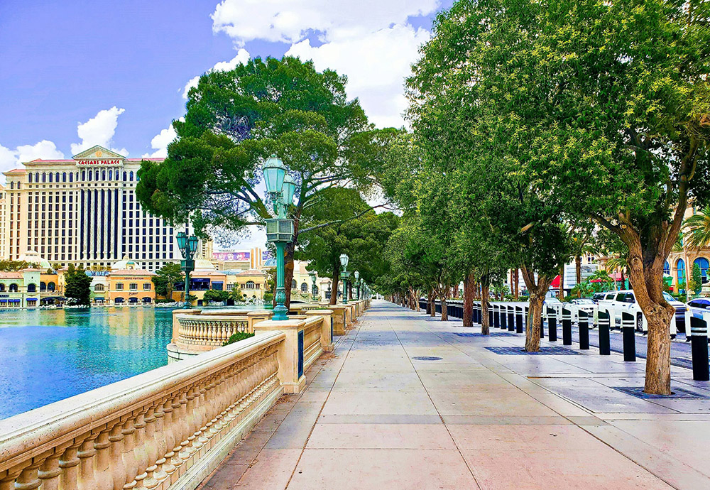 View of side walk in front of Bellagio in Las Vegas with trees lining the right side.