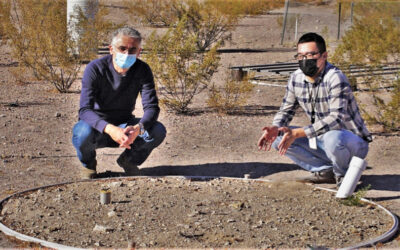 What happens when rain falls on desert soils? An updated model provides answers