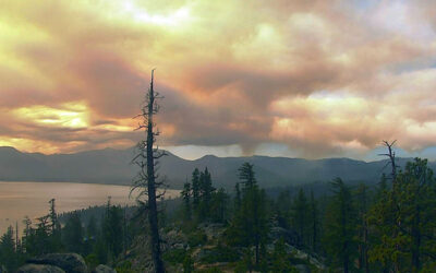 Fire tornado prediction tools to be developed for public safety during extreme wildfires