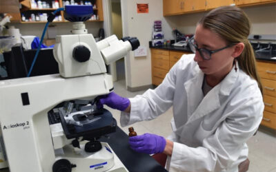 Brittany Kruger, Ph.D. receives the 2024 Harold J. Kruse Farming and Environment Award