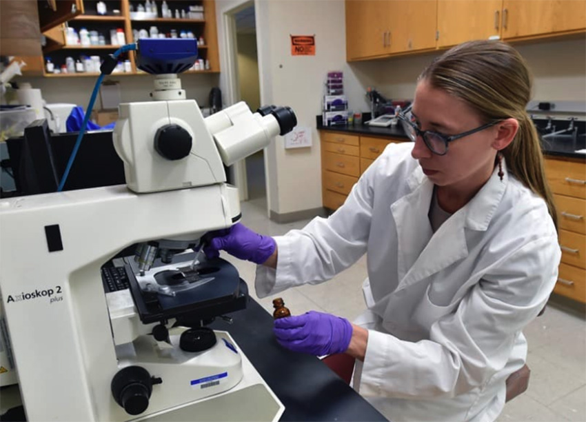 Brittany Kruger in her lab working with a microscope wearing a lab coat and gloves.