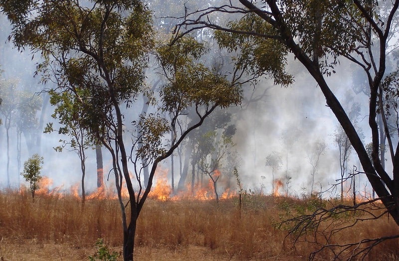 An Australian bushfire.