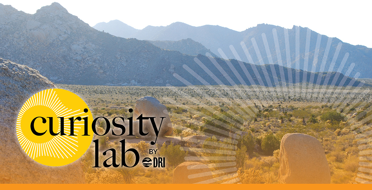 CL Possible Unknown Vegas Nov 5 Curiosity Lab logo over a desert landscape with mountains and boulders.