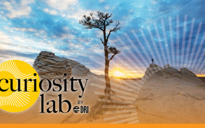 Roots of Wonder: Following Curiosity into the Natural World