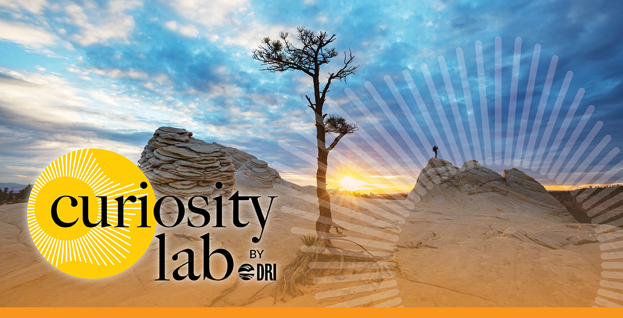 CL Roots of Wonder Las Vegas Mar 12 Curiosity Lab logo over a desert landscape at sunset with a lone tree in the foreground.