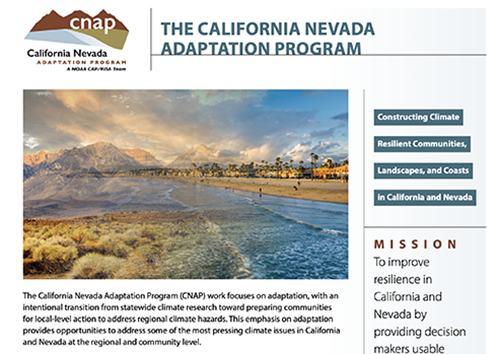 Thumbnail of the CNAP PDF Fact Sheet