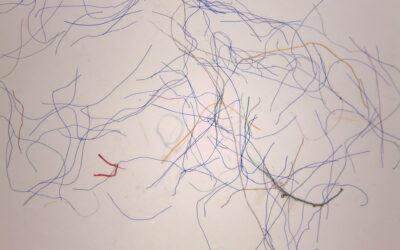 Household Dryers Are Significant Sources of Microfiber Pollution, Study Finds 