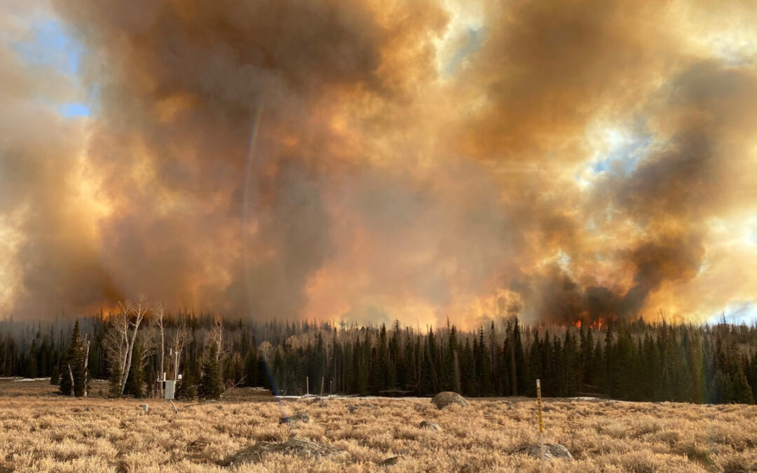 Preparing Communities for the Future of Wildfire 