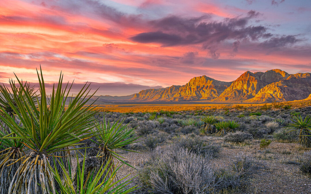 Support Science That Matters Now