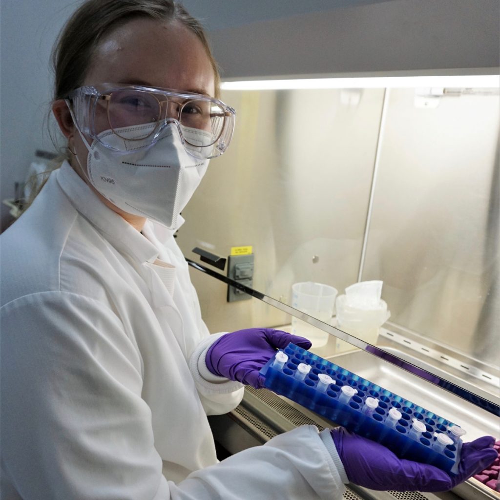 Natasha Sushenko processes samples using a biosafety cabinet in the Environmental Microbiology Lab at the Desert Research Institute in December of 2020 during a SARS-CoV-2 wastewater monitoring study