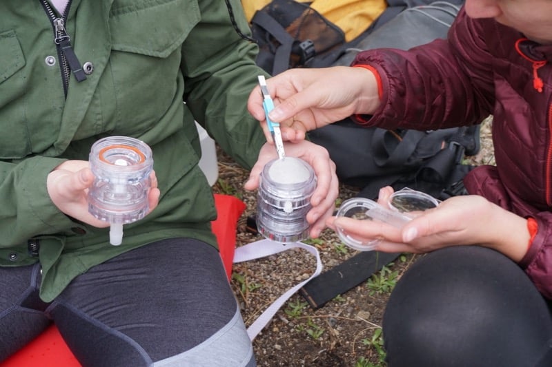 filter used to sample microplastics