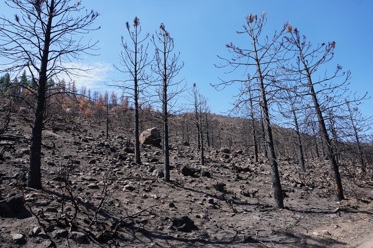 Water repellent soil after wildfire
