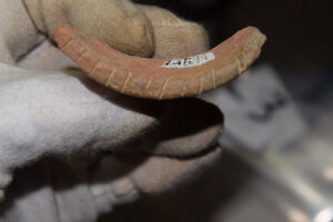 Hand holding a piece of broken ceramic found during an archaeological expedition.