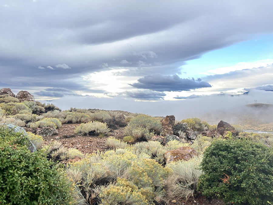 Desert shrubs and wildflowers are visible on the side of a mountain on a cloudy day.