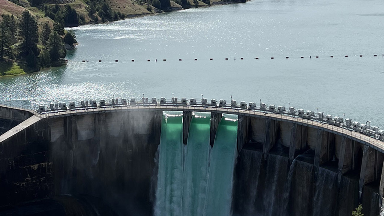 Image of a dam and reservoir with active spillways.