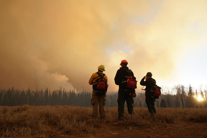 Firefighters