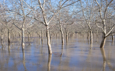 New Study Offers Detailed Look at Winter Flooding in California’s Central Valley