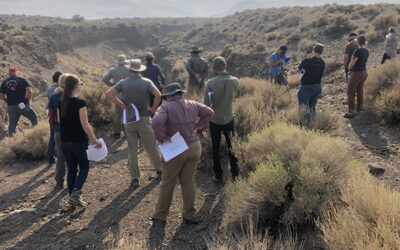 Geoarchaeology Short Course: How Understanding Geomorphology and Soils Improves Archaeology