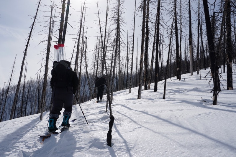 Forest fires accelerating snowmelt across western U.S., new study finds