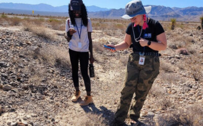 DRI interns join the search for elusive desert tortoises in Tule Springs Fossil Beds National Monument