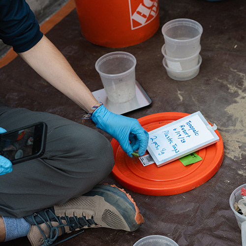 Intern sitting on the ground and documenting items found on the beach with a white board, bucket lid, and phone.