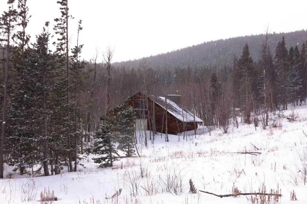 A barn in a wooded area with pine trees with snow falling and on the ground.