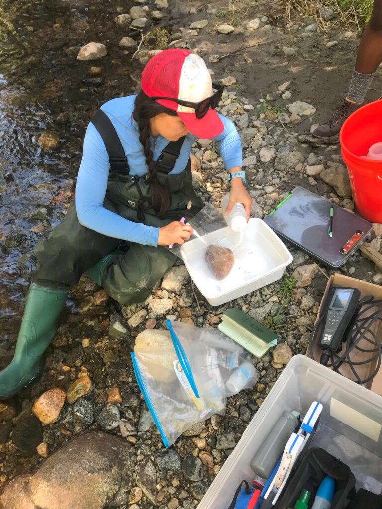 A scientist pouring water on a rock while next to a stream.