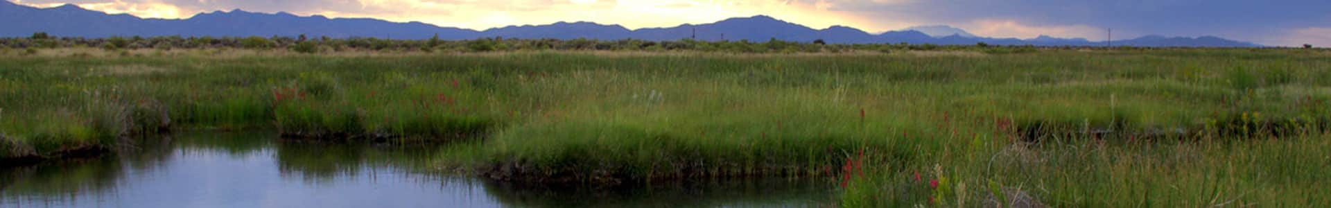 Wetland Map of Nevada