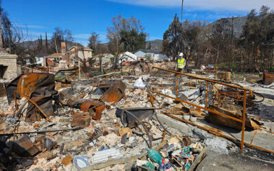 What’s in the Burnt Remains of the LA Wildfires?