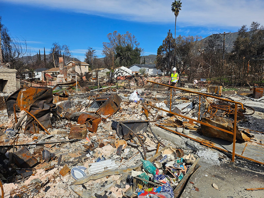 What’s in the Burnt Remains of the LA Wildfires?