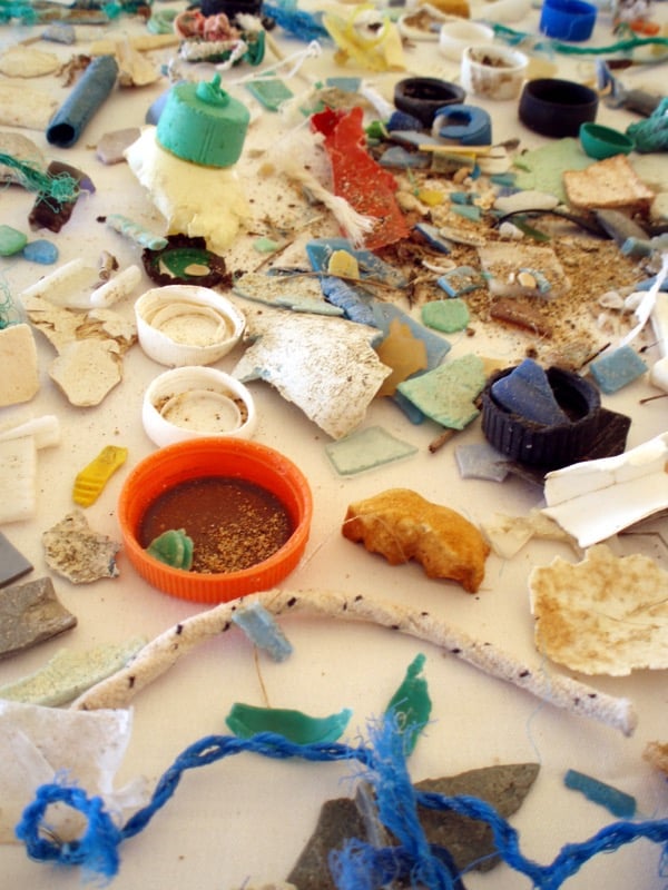 microplastic pollution