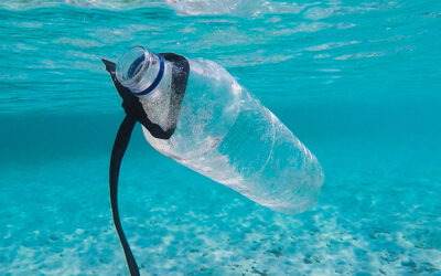 First Dive Survey of Lake Tahoe’s Lakebed Finds High Amounts of Plastic and Other Litter